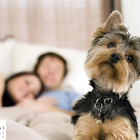 Ξενοδοχείο Mastai Σενιγκάλια