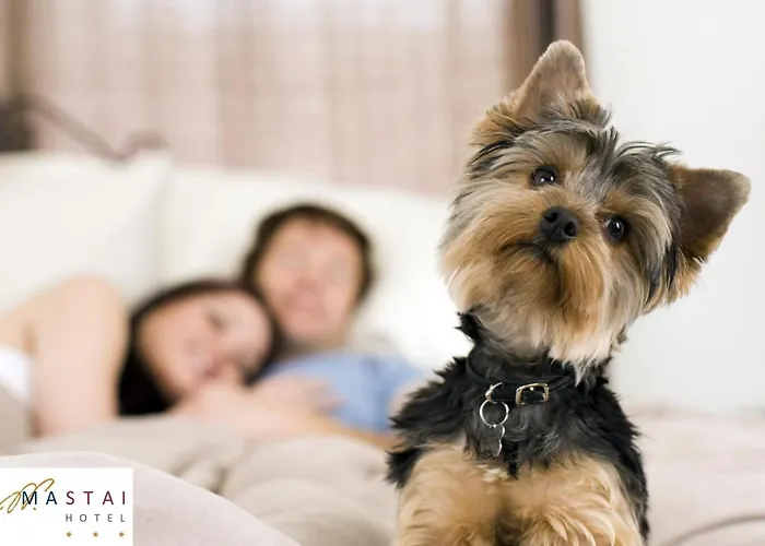 Hotel Mastai Senigallia